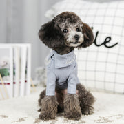 Dog clothes autumn and winter cotton bottoming shirt to keep warm Teddy clothes small dog Bomei cat pet