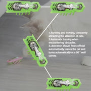 Interactive Light-Up Electric Worms & Beetles – Automatic Obstacle-Avoiding Teaser Puzzle Toy for Cats