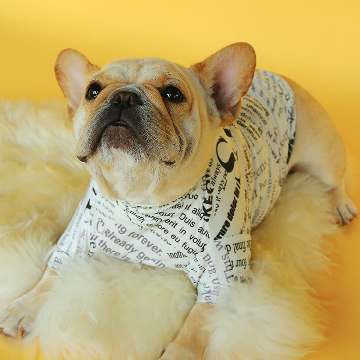 Pet dog clothes French fighting British fighting knitting