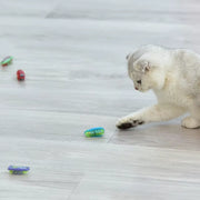 Interactive Light-Up Electric Worms & Beetles – Automatic Obstacle-Avoiding Teaser Puzzle Toy for Cats