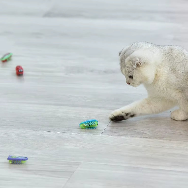 Interactive Light-Up Electric Worms & Beetles – Automatic Obstacle-Avoiding Teaser Puzzle Toy for Cats